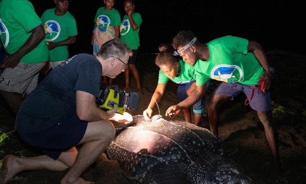 Communities conserving leatherback turtles