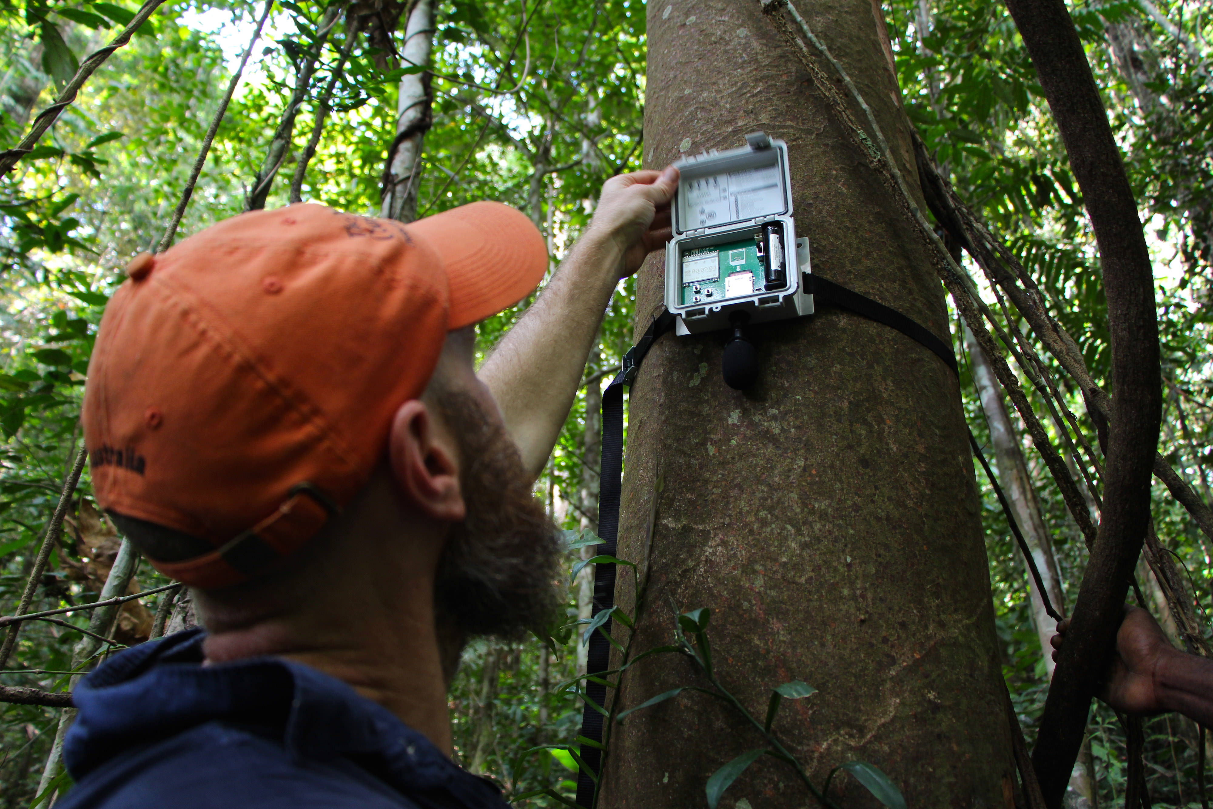 A man holds a recording device that looks like a box onto a tree trunk.